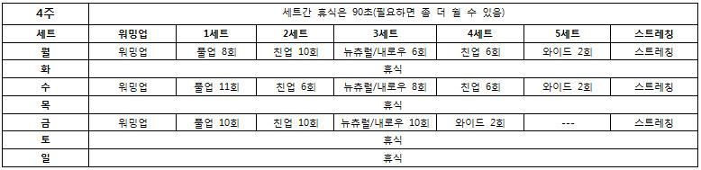 턱걸이 초보도 50개 올리는 프로그램 | 인스티즈