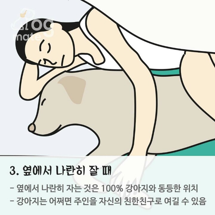 반려동물과 잠자는 위치로 본 반려동물과 나의 관계 | 인스티즈