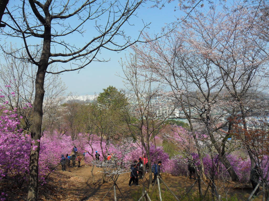 한돈희 이미지