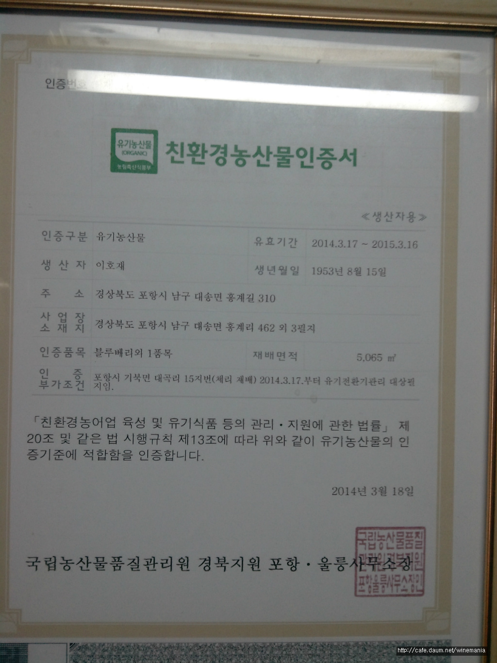 포항블루베리농원 이미지