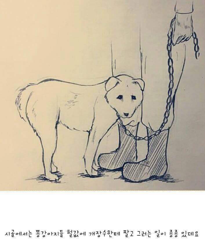 이 이야기는 실화입니다 | 인스티즈