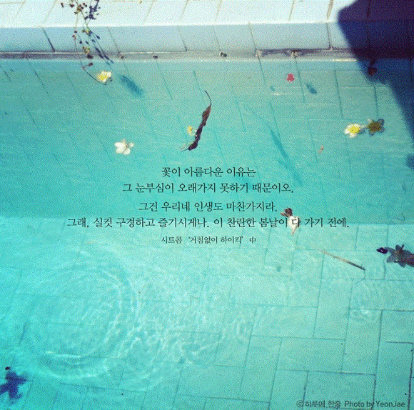 평생 삶의 결정적 순간을 찍으려 발버둥 쳤으나 삶의 모든 순간이 결정적 순간이었다 | 인스티즈