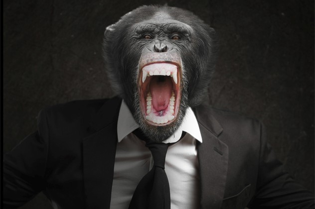  인류의 자리를 대체할수도 있는 존재들 TOP 10 | 인스티즈