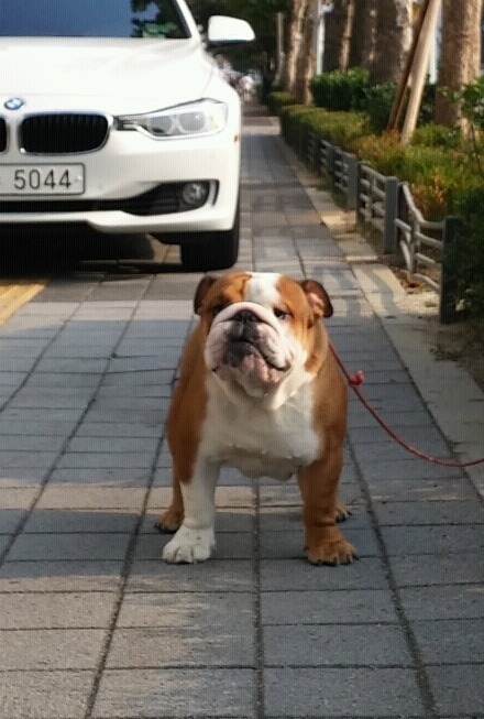 오드리 이미지