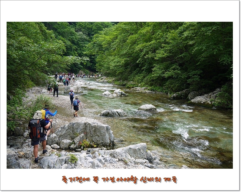 신전주유소 이미지