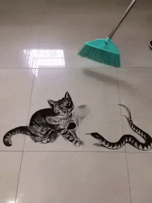 고양이 위기 | 인스티즈
