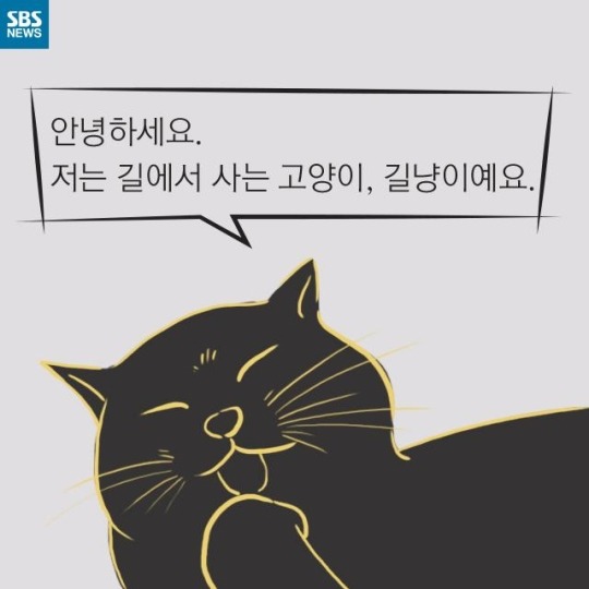 "살찐 거 아니에요 부은 거예요"(길고양이) | 인스티즈