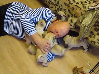 너무 귀여운 새끼 강아지들 .gif | 인스티즈