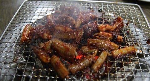 털보네꼼장어 이미지