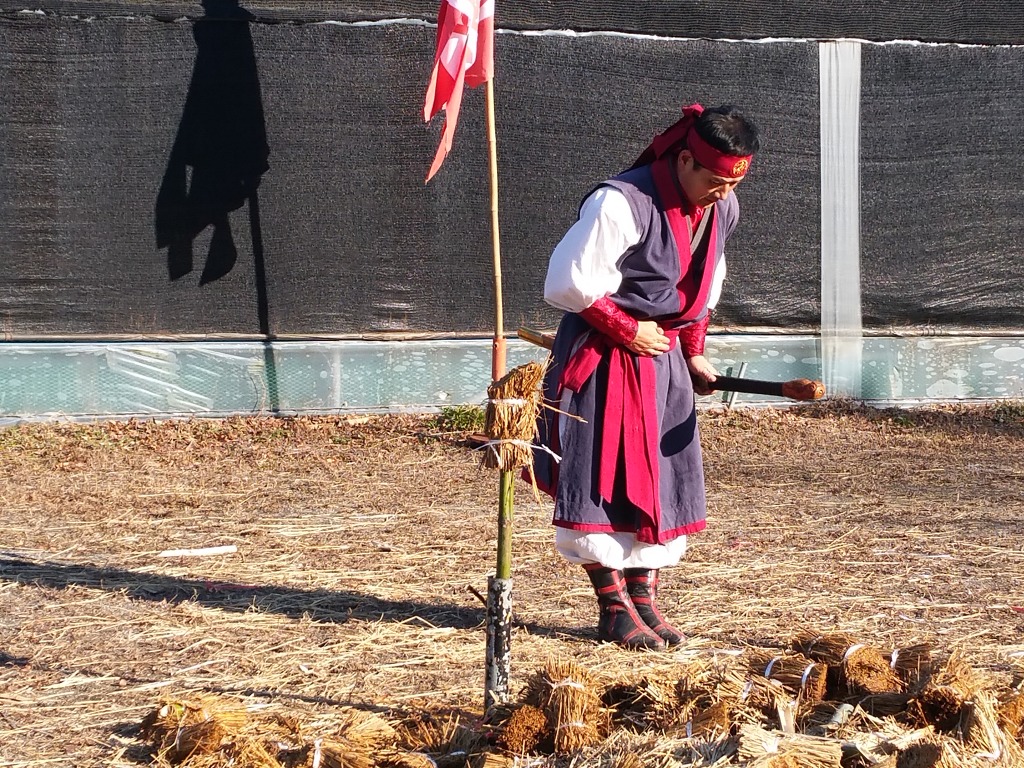 삼각도 이미지