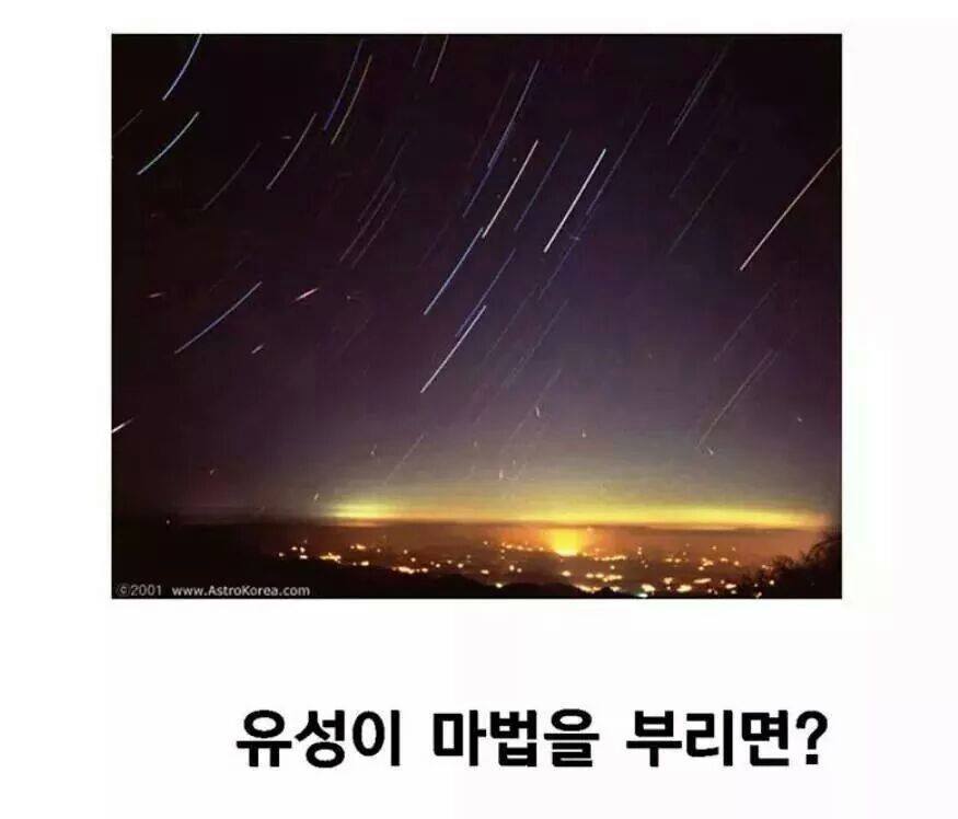 이중에 하나라도 안웃기면 한국 떠납니다 ㅋㅋㅋㅋㅋㅋㅋㅋㅋㅋㅋㅋㅋ | 인스티즈