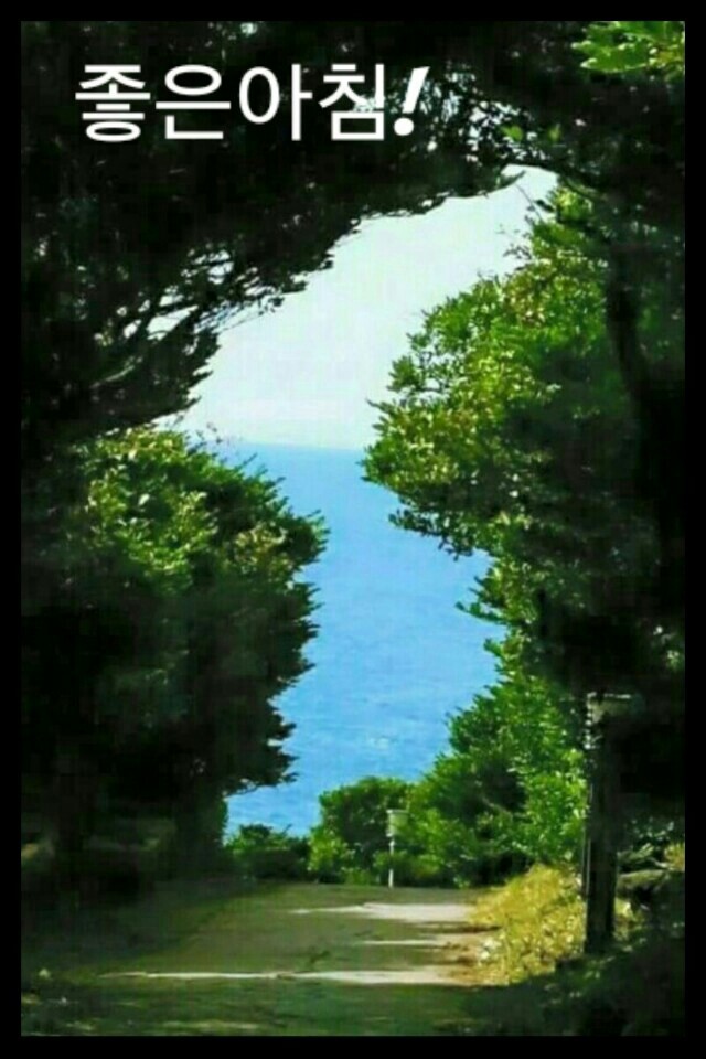사촌 이미지
