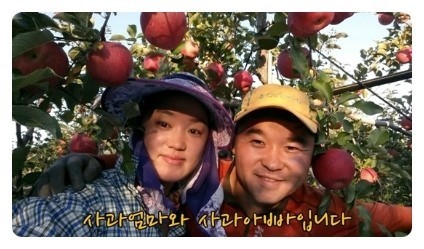 이제사과농원 이미지
