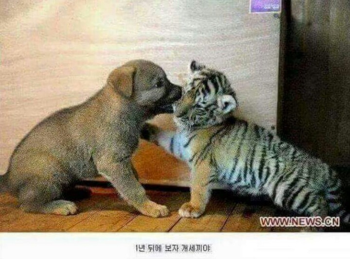 1년뒤에보자 ㄱㅅㄲ야... | 인스티즈