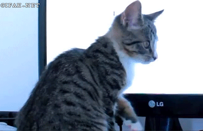 기생수.GIF | 인스티즈