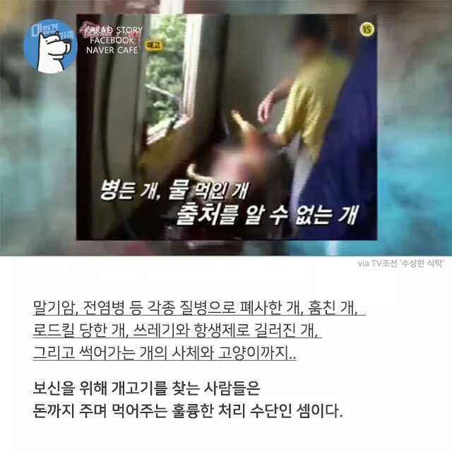 개고기를 먹지말아야 하는 설득력있는 이유 | 인스티즈