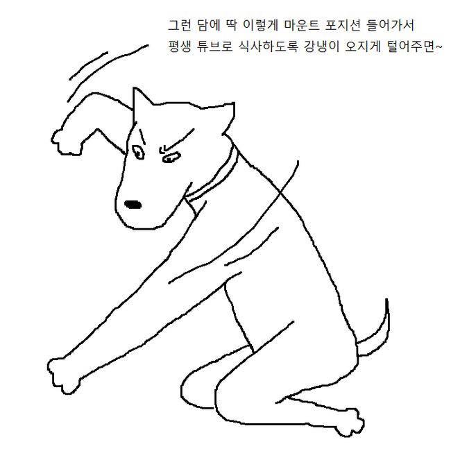 용감한 개가 주인 무시하는 만화 | 인스티즈