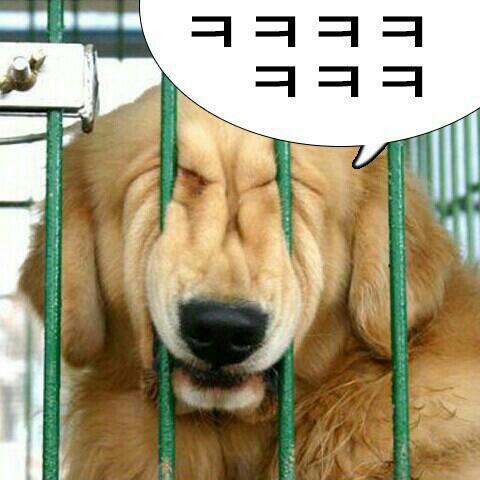 깔깔깔 이미지