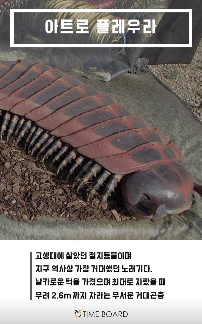 멸종되서 다행인 동물 | 인스티즈