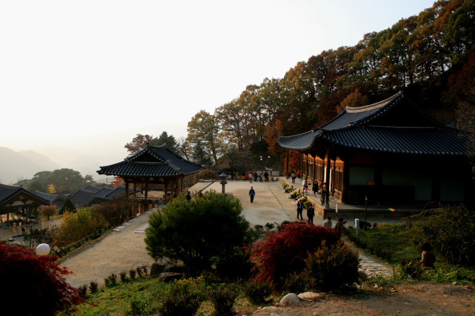 평일야 이미지