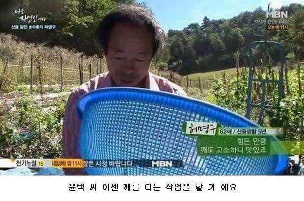 나는 자연인이다 레전드 | 인스티즈