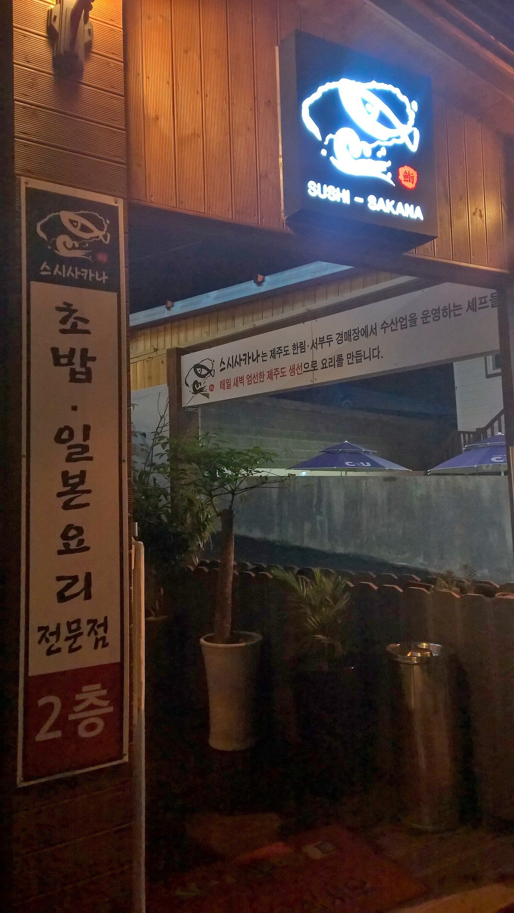 사카나 이미지
