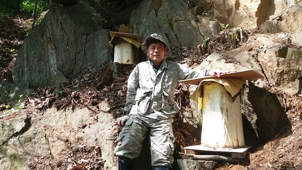 더대박 이미지