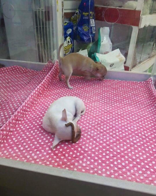 룸메랑 싸우면 안되는 이유 | 인스티즈