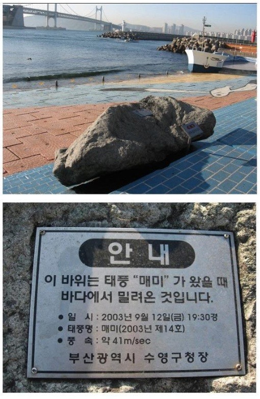 역대 최강 태풍 매미의 위력 | 인스티즈