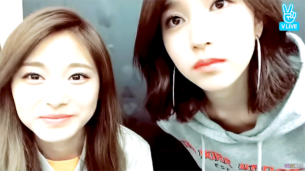 묘이 미나(feat.쯔위).gif | 인스티즈