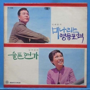 진아 이미지
