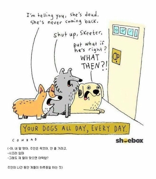 주인이 나간동안 개들이 하루종일 하는 짓 | 인스티즈