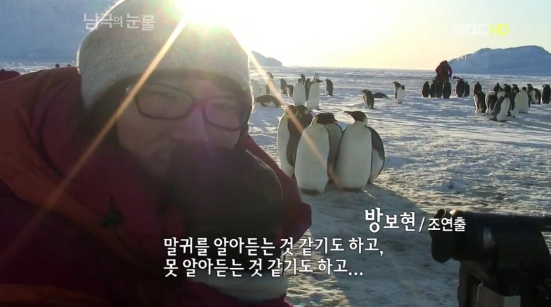 펭귄한테 역관광 당한 사람들 | 인스티즈