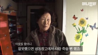 목숨을 구해준 강아지 | 인스티즈