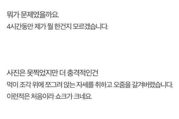 직접 먹이 만들어서 길고양이 밥먹이는 훈훈한 집사.jpg | 인스티즈