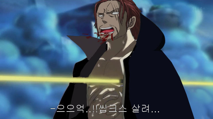 원피스 캐릭터 중 간지 甲 | 인스티즈