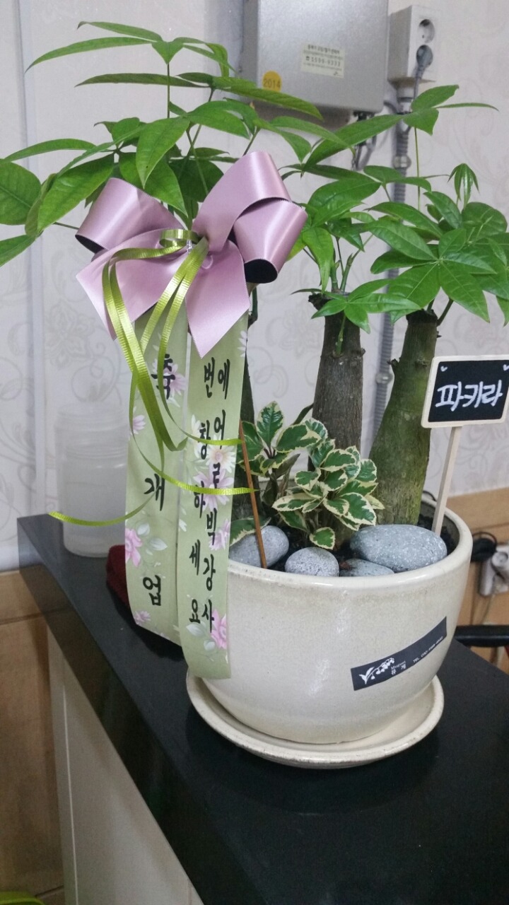 숙이언니 이미지