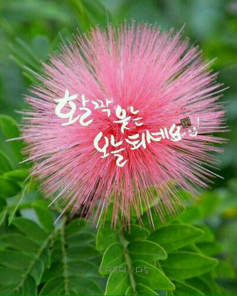 미덕 이미지