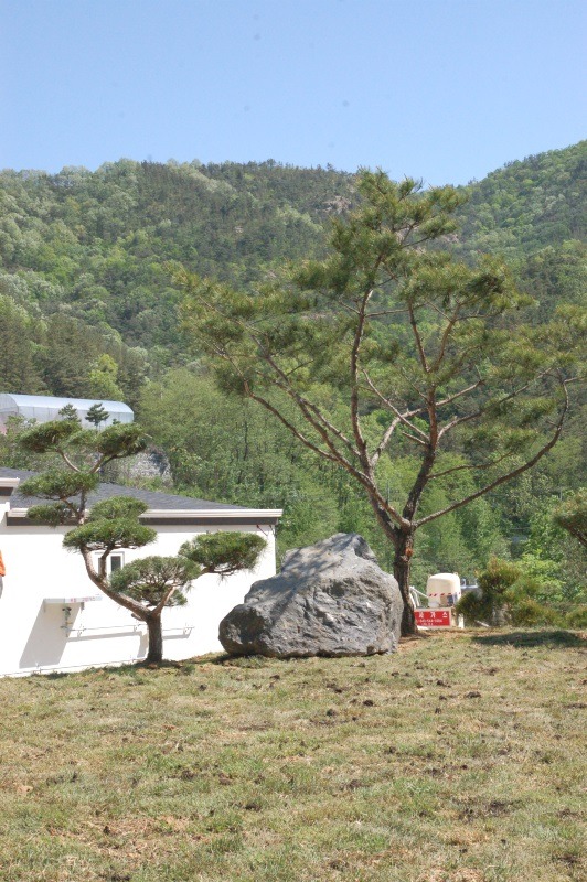 충북조경 이미지