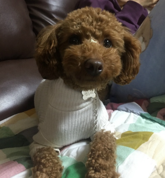 뷰토 이미지