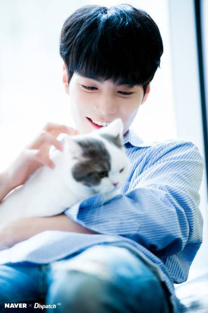 헐 이미지