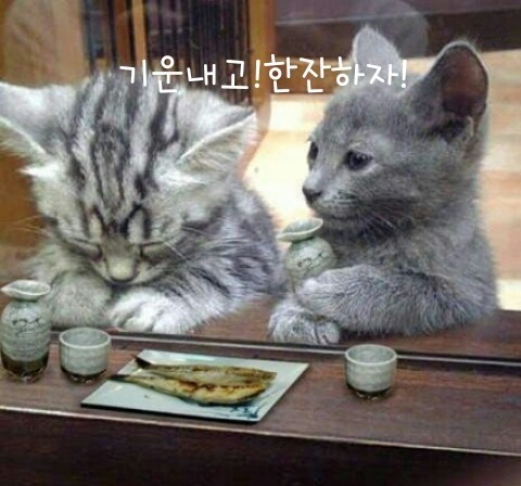 아 이미지