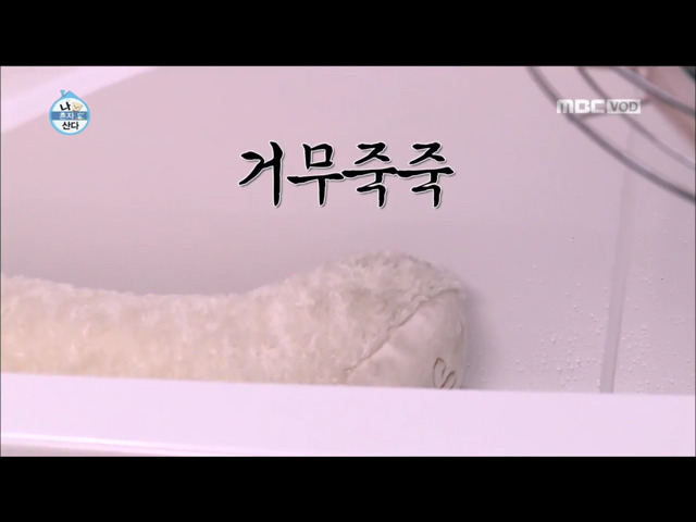 전현무의 윌슨 목욕시키기.jpg.gif | 인스티즈