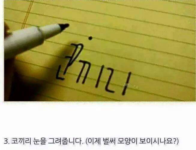 코끼리 쉽게 그리는 방법 | 인스티즈