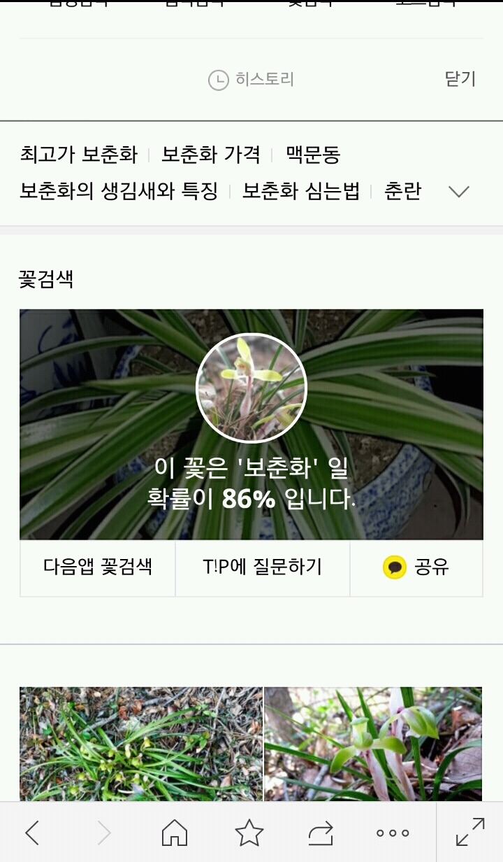 완전 신기한!!! 꽃검색 기능 알고계셨나요??? | 인스티즈