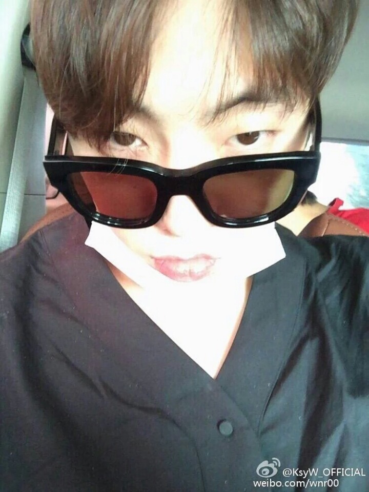 와이지 이미지
