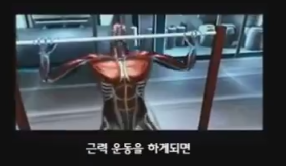 근육이 자라는 과정 | 인스티즈
