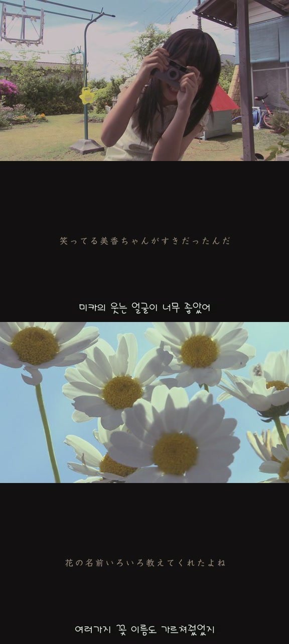 강아지의 삶 | 인스티즈