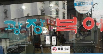 광장복어 이미지