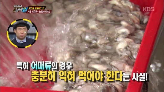 굴먹고 노로바이러스에 걸리는 이유 | 인스티즈